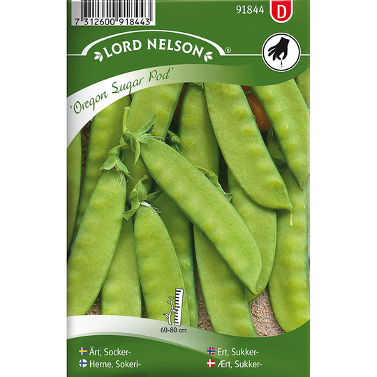 Sockerärt 'Oregon Sugar Pod'