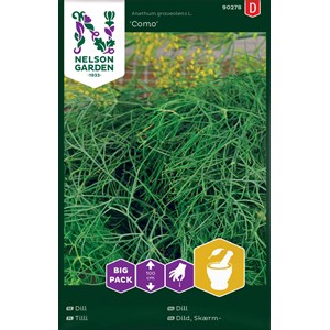 Fröer Nelson Garden Vanlig dill Como Big Pack