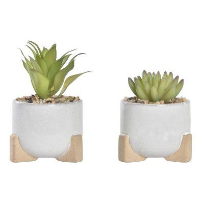 Dekorativ växt DKD Home Decor Cement Vit Grön PE (9,5 x 9,5 x 14 cm) (2 antal)