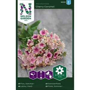 Fröer Nelson Garden Sommarflox Cherry Caramel