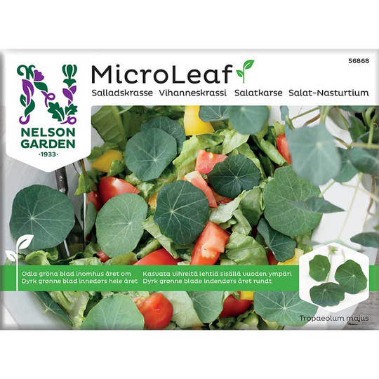 Micro Leaf, Salladskrasse
