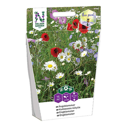 Ängsblommor