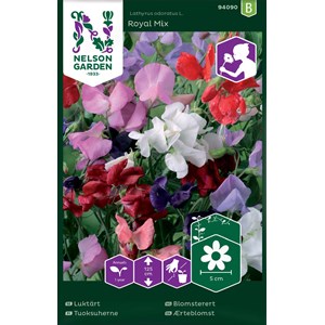 Fröer Nelson Garden Luktärt Royal Blandade Färger