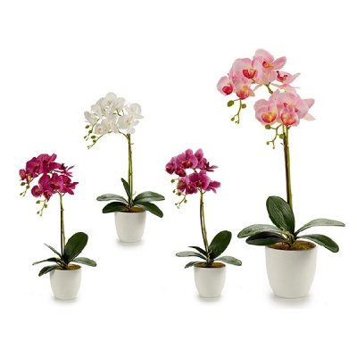 Kruka Orchid Vit Plast (51 cm)