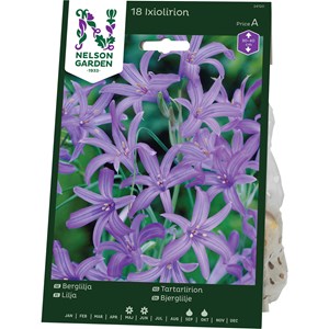 Höstlök Nelson Garden Berglilja Blåviolett
