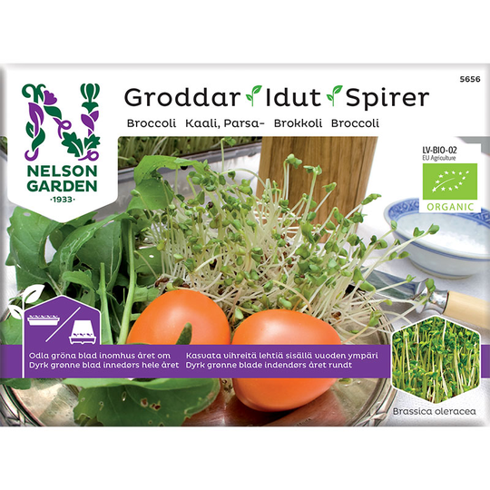 Groddar Broccoli - Primo Vitamino