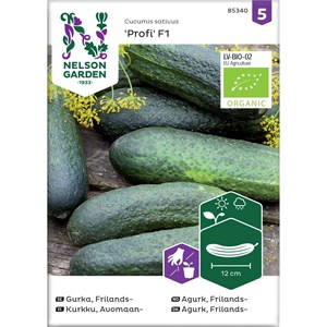 Fröer Nelson Garden Frilandsgurka Profi F1 Organic