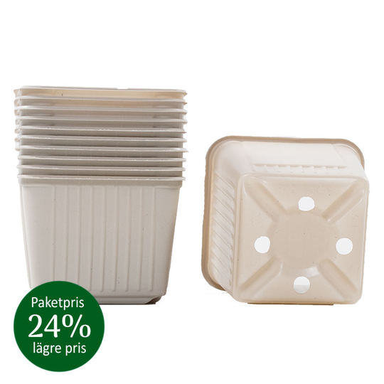 Såkrukor 8 x 8 cm, 100-pack