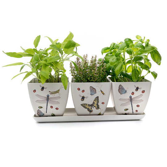 Eco Bambukruka 3-set, Insekter