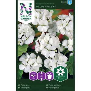 Fröer Nelson Garden Pelargon Inspire White F1 Vit