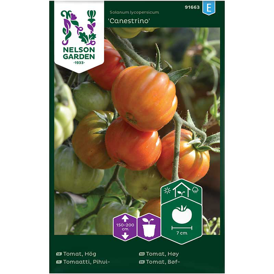 Tomat 'Canestrino'