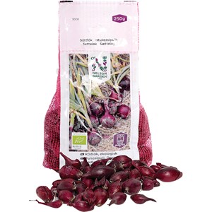 Sättlök Nelson Röd Eko, 250 g