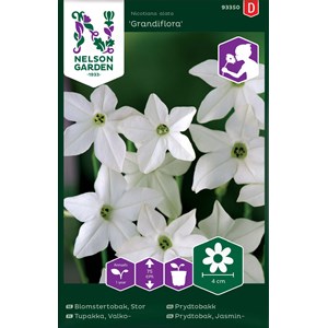 Fröer Nelson Garden Blomstertobak Stor Grandiflora, Vit