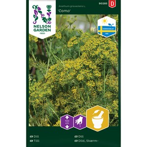Fröer Nelson Garden Dill Ursprung Sverige