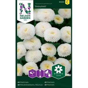 Fröer Nelson Garden Mattram Snowball Vit