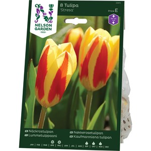 Höstlök Nelson Garden Näckrostulpan Stresa Röd/Gul Kant