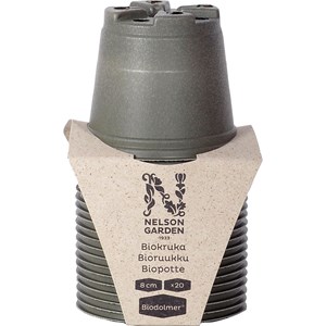 Biokruka Nelson Garden Grön Ø 8 cm, 20-pack
