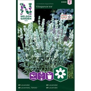 Fröer Nelson Garden Lavendel Ellagance Ice Vit