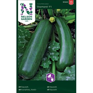 Fröer Nelson Garden Squash Diamant F1