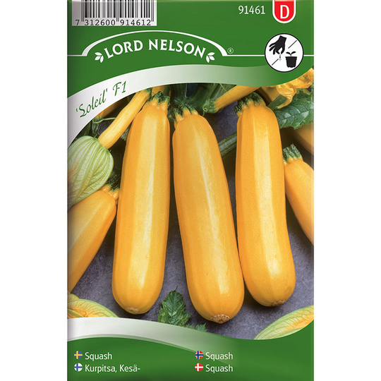Squash 'Soleil' F1