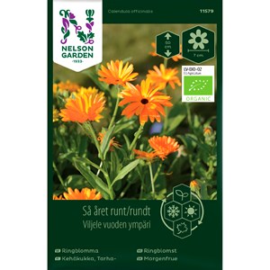 Fröer Nelson Garden Så Året Runt Ringblomma Organic