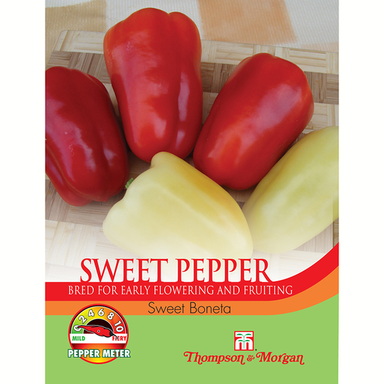 Paprika 'Boneta'
