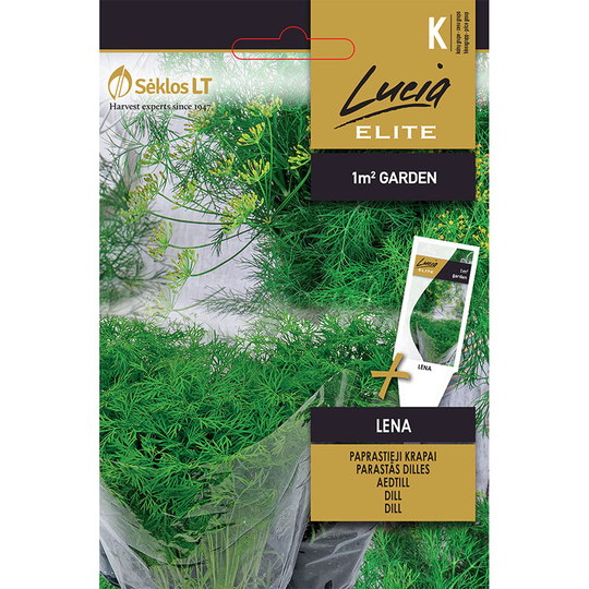 Dill 'Lena'