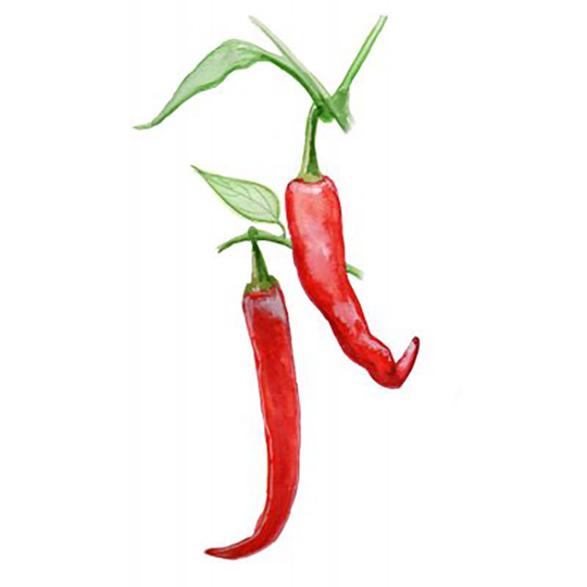 Chili 'De Cayenne'
