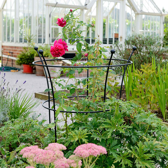 Växtstöd Trumpet Peony 40 cm, svart