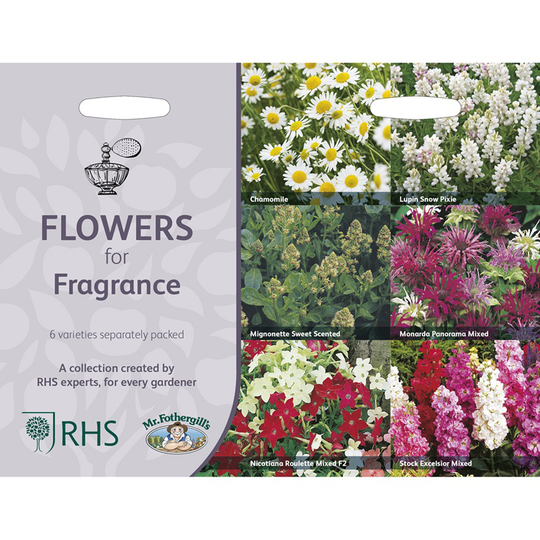 Väldoftande blommor 6 sorter