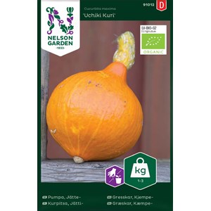 Fröer Nelson Garden Jättepumpa Uchiki Kuri Organic