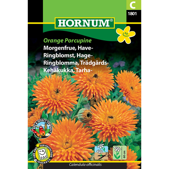 Ringblomma 'Orange Porcupine'