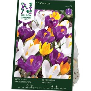 Höstlök Nelson Garden Vårkrokus Blandade Färger