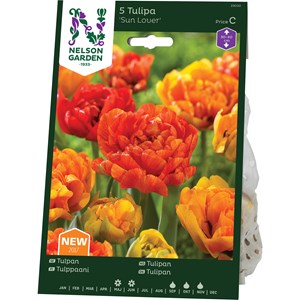 Höstlök Nelson Garden Sen Fylld Tulpan Sun Lover Orange/Gul