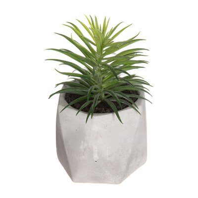 Dekorativ växt Atmosphera 7 x 14 cm PVC