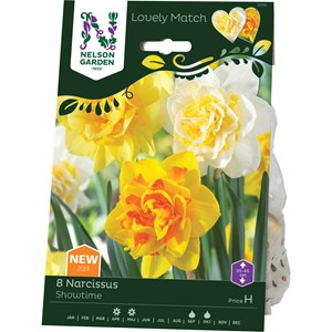 Höstlök Nelson Garden Narcissus LM Showtime