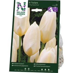 Höstlök Nelson Garden Kejsartulpan Purissima Vit