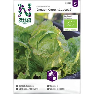 Fröer Nelson Garden Isbergssallat Grazer Krauthäuptel 2 Organic