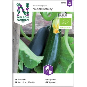 Fröer Nelson Garden Squash Black Beauty