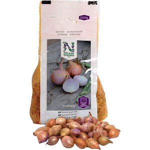 Sättlök Nelson Garden Värmebehandlad Rosanna Rosa, 250 g