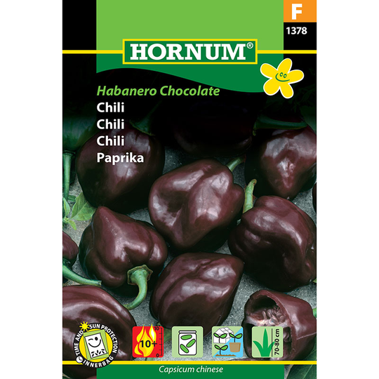 Havannapeppar 'Habanero Chocolate'