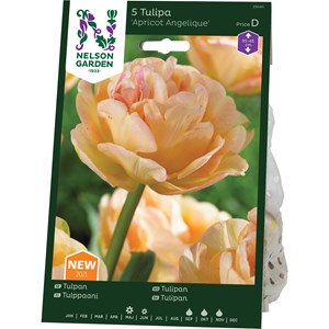 Höstlök Nelson Garden Sen Fylld Tulpan Apricot Angelique