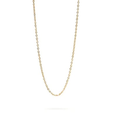 Damhalsband PDPAOLA CO01-439-U