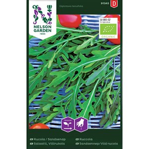 Fröer Nelson Garden Rucola / Sandsenap, Ekologisk