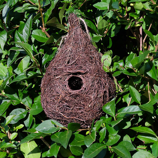 Fågelbo Giant Roost