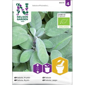 Fröer Nelson Garden Kryddsalvia