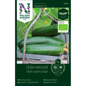 Fröer Nelson Garden Så Året Runt Krukgurka Picolino F1 Organic
