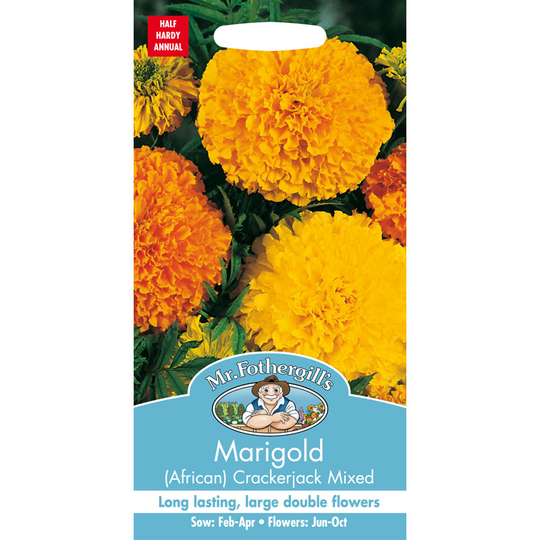 Tagetes 'African Crackerjack Mixed'