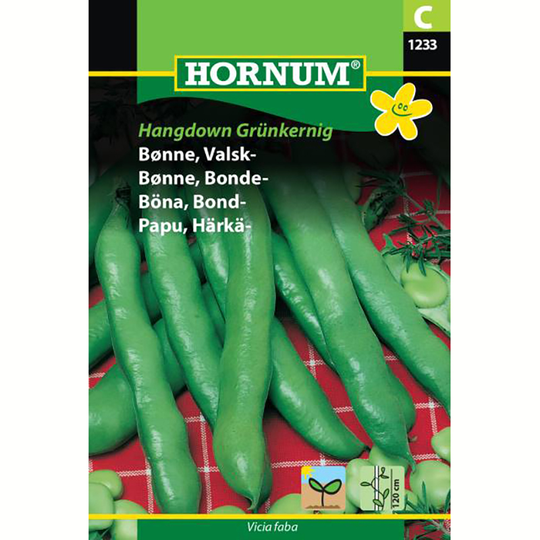 Bondböna 'Hangdown Grünkernig'