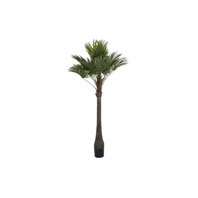 Träd DKD Home Decor Palmträd Polyester polypropen (100 x 100 x 205 cm)